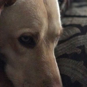 Meet your Posher, Sue